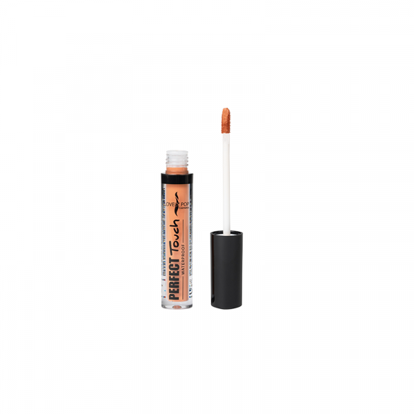 KIT CORRECTEUR PERFECT TOUCH